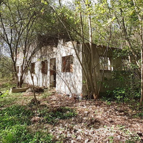 Ruiny Jakiegoś Budynku